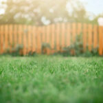 注文住宅で庭を作るなら「天然芝」と「人工芝」どっちがいい？